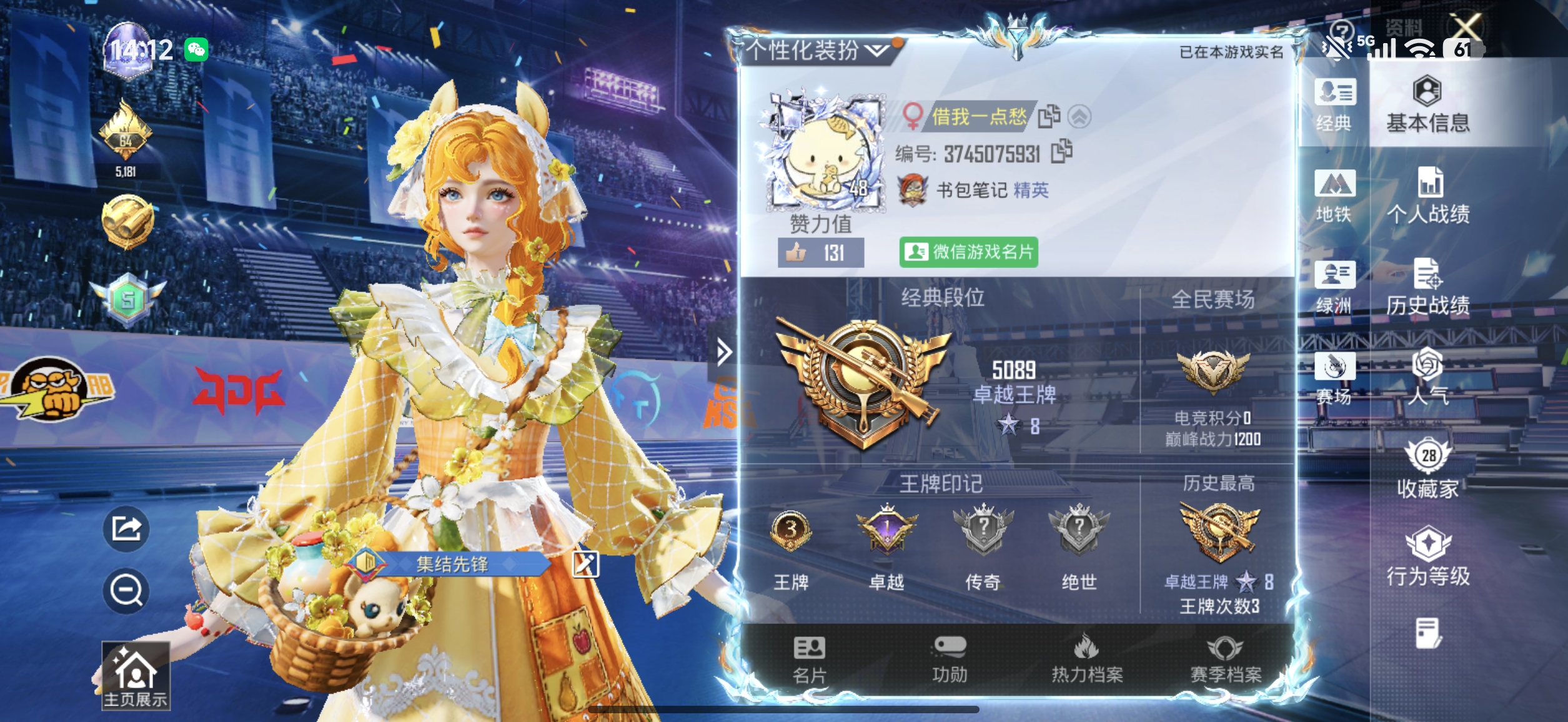 和平精英陪玩服务