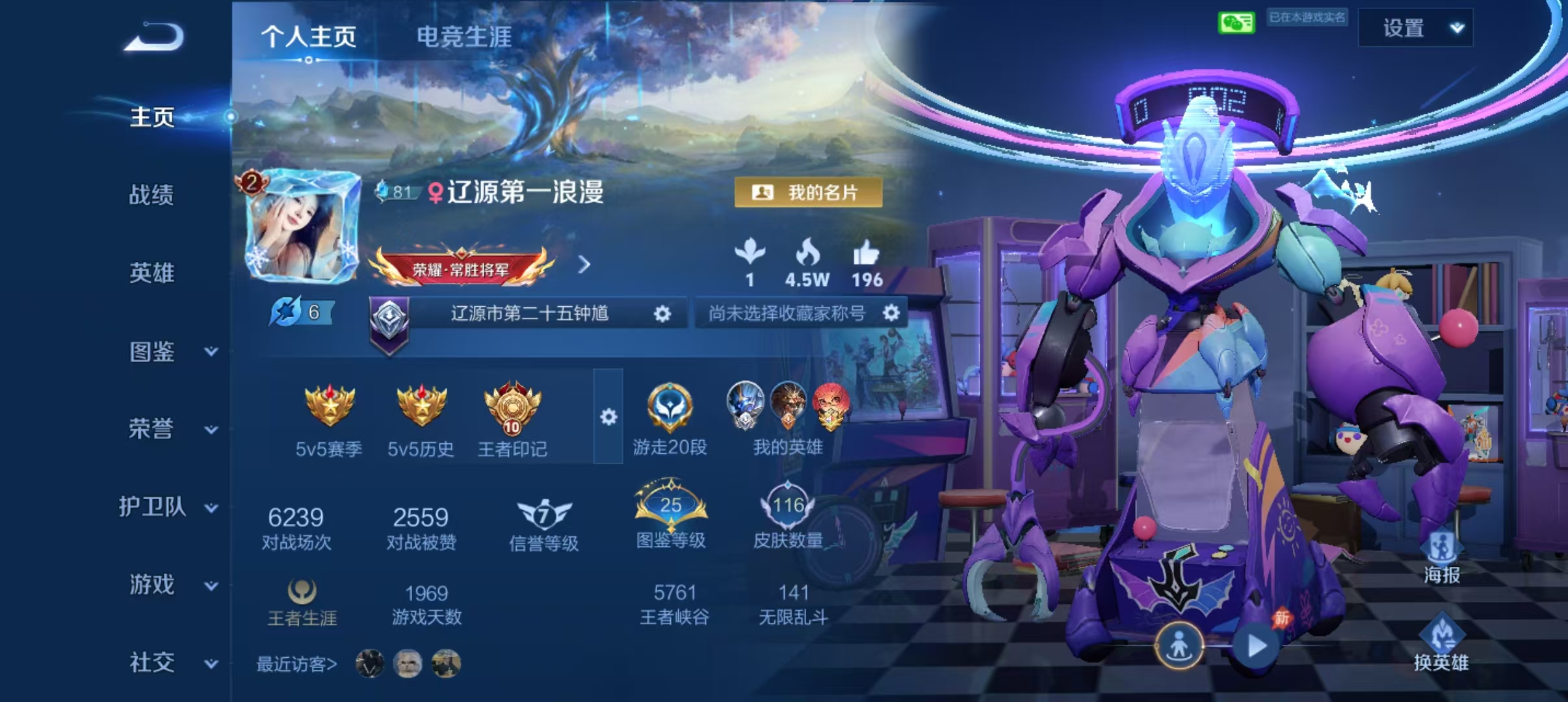 王者荣耀陪玩服务