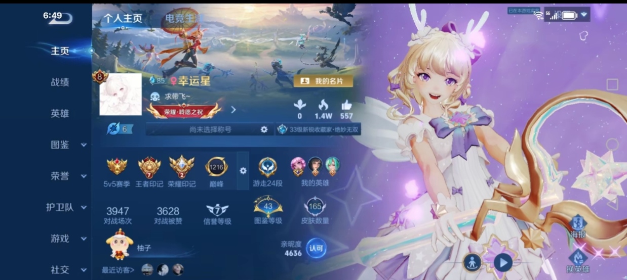 王者荣耀陪玩服务