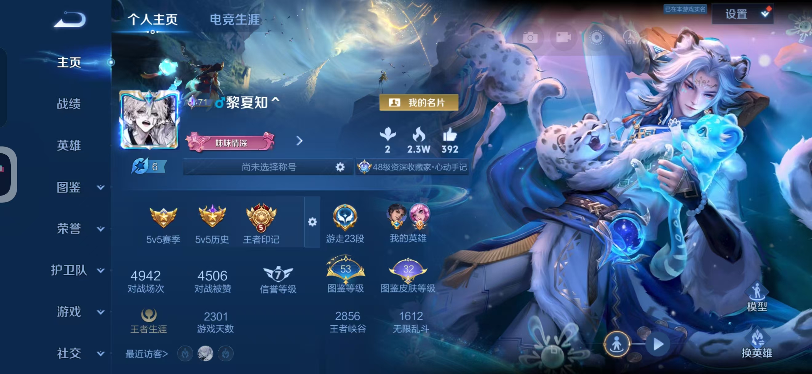 王者荣耀陪玩服务