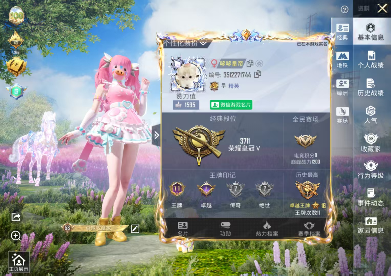 和平精英陪玩服务